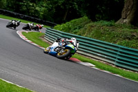 cadwell-no-limits-trackday;cadwell-park;cadwell-park-photographs;cadwell-trackday-photographs;enduro-digital-images;event-digital-images;eventdigitalimages;no-limits-trackdays;peter-wileman-photography;racing-digital-images;trackday-digital-images;trackday-photos